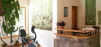 Antuquelen Hotel Villa La Angostura